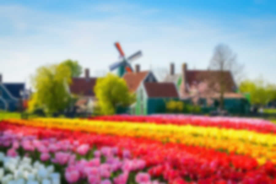 keukenhof